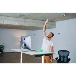 Blackroll BALL 08 -Exped-Shop 5637769469 d ball 08 blackroll 24