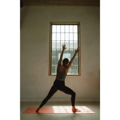 Blackroll MAT GYMBAG GT - Yogamatte -Exped-Shop 5637896171 h mat gt plus gymbag blackroll 24