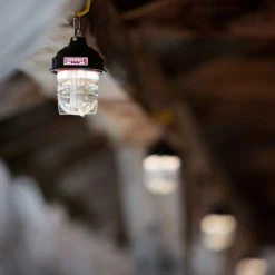 BEACON LIGHT - Laterne -Exped-Shop 5638072758 e beacon light barebones 24